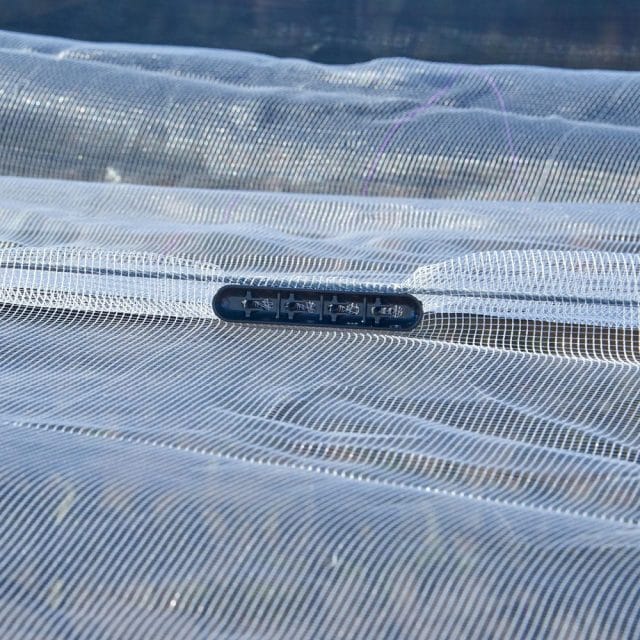 Radial Net Connector