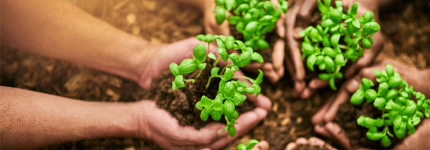 Paskal_blog_feb26_850x296pix_1