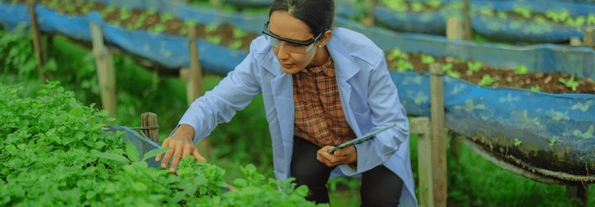 Paskal_blog_feb26_850x296pix_2