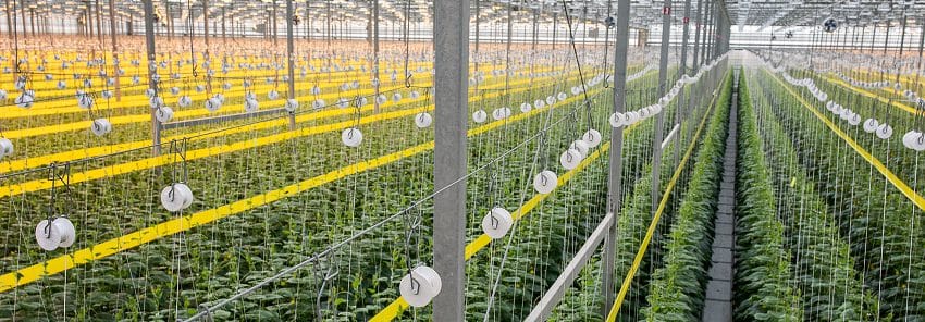 Paskal_blog_feb26_850x296pix_2 2