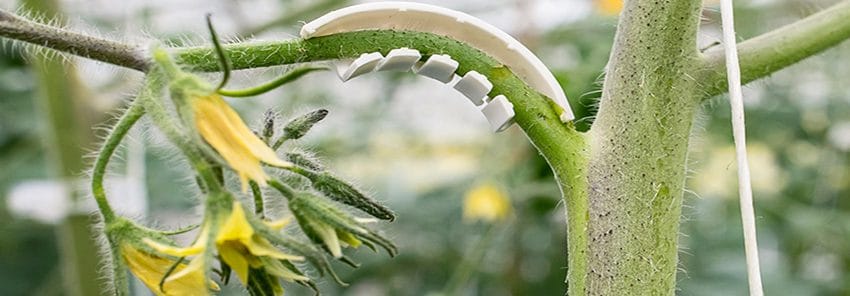 Paskal_blog_feb26_850x296pix_2 1