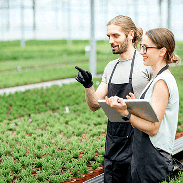How excellent is your labor operation?